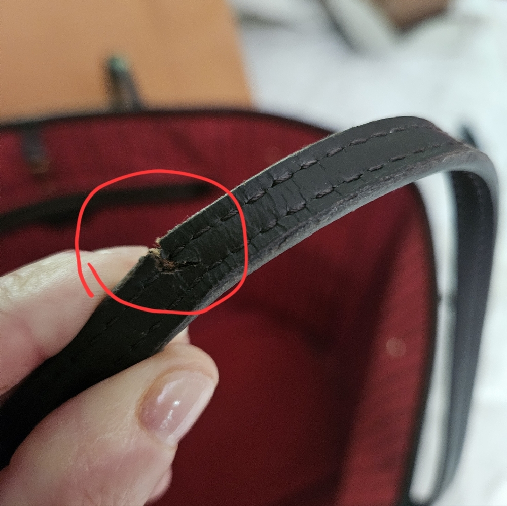 Louis Vuitton Large Neverfull Plus Insert And Pho… - image 5